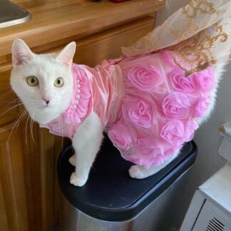 Luxury Cat Clothes 